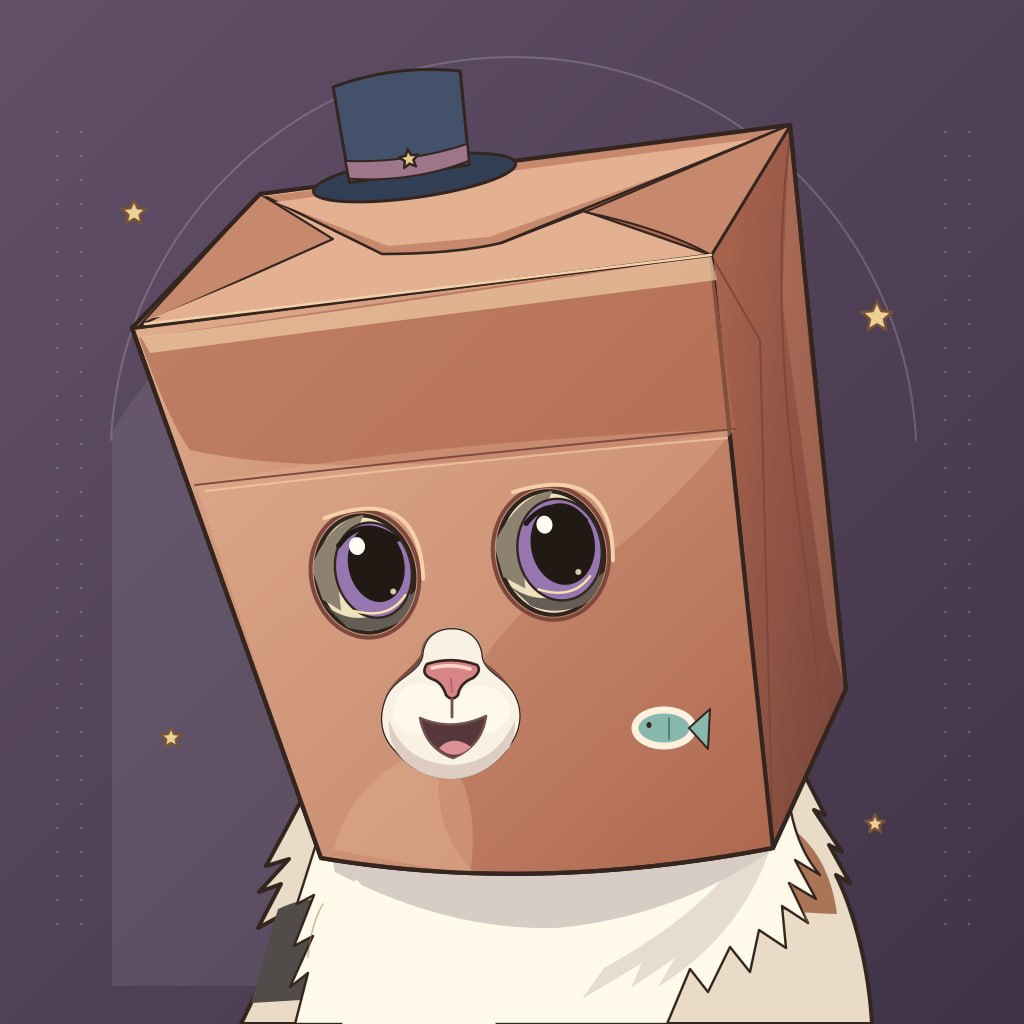 Anonymous Cat sitting inside a fragile box with box helmet
