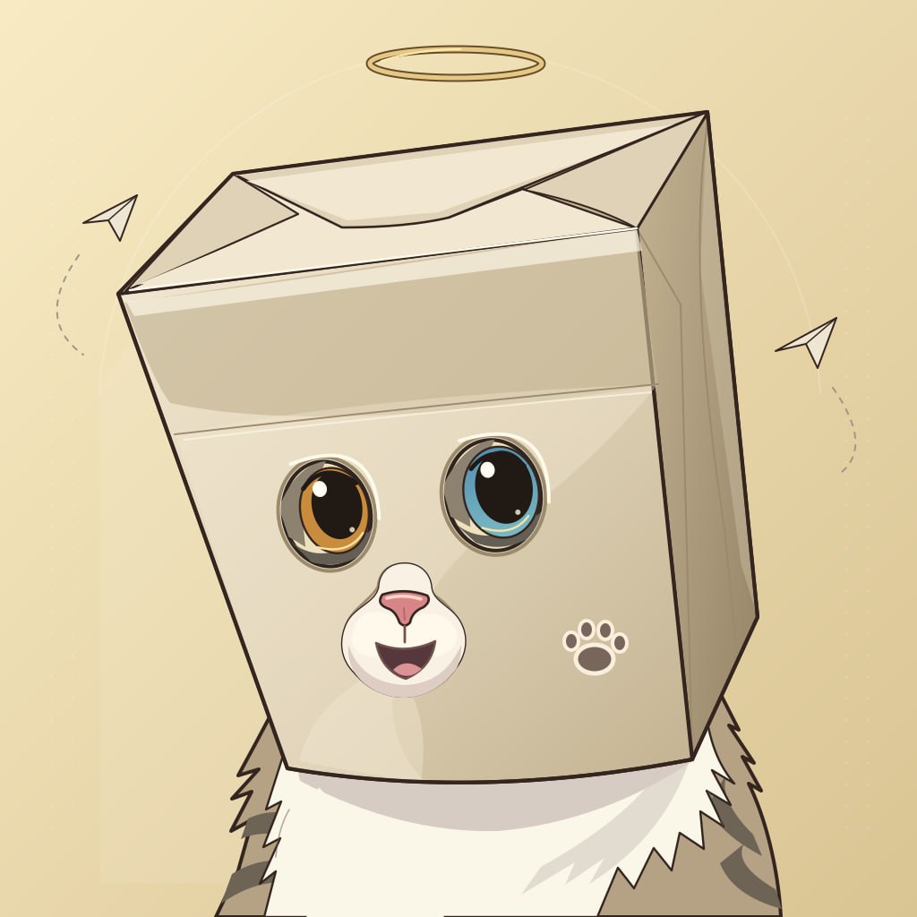 Anonymous Cat in cardboard box with pink bow