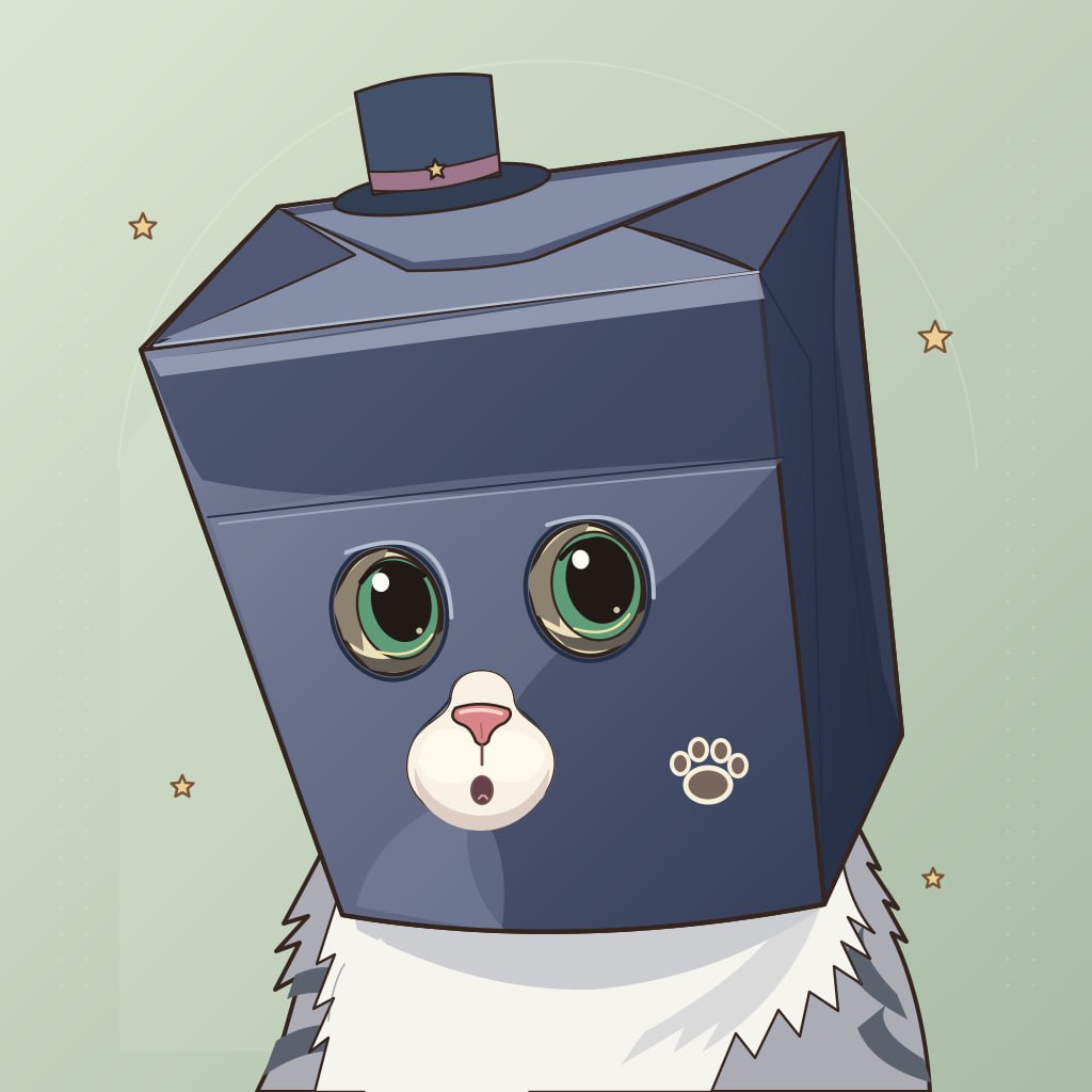 Anonymous Cat wearing cardboard box with party hat